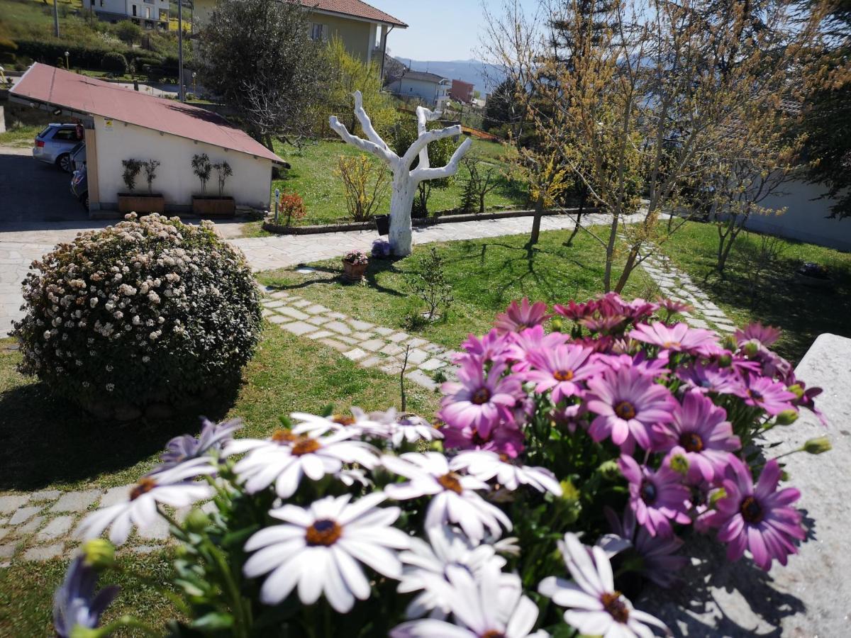 Tricarico Gianmaria B&B المظهر الخارجي الصورة